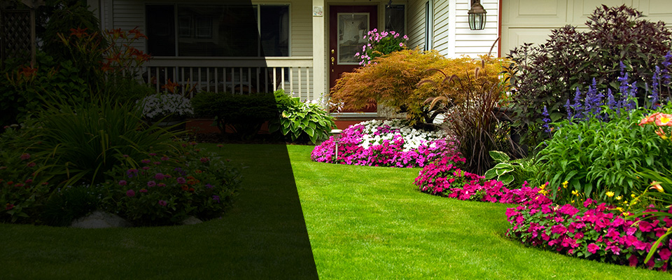 Lake Forest Landscapers